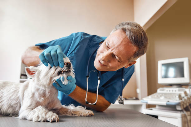Best Emergency Dental Care for Trauma or Injury in Eufaula, AL